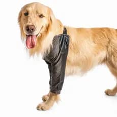 Cotoveleira Protetora para Cães Pet Designer Acolchoada para Higroma e Calos Tam. 3 ao 9