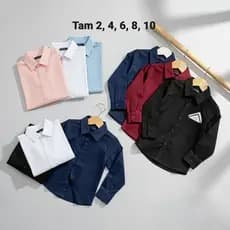 Camisa social infantil menino manga longa  Algodão Elastano, tricoline acetinado premium, pajem