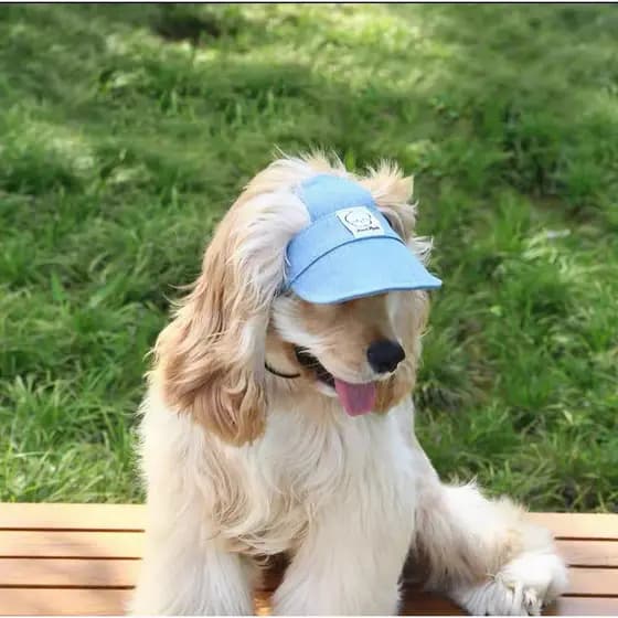Cães Com LISA JEANS , Boné Proteção UV Ajustável Chapéu De Guarda-Sol Para Animais De Estimação