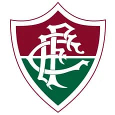 2x Adesivo Fluminense Escudo 14 x 12 cm Envio Imediato