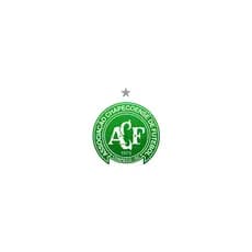 2x Adesivo Chapecoense Escudo 14 x 12 cm Envio Imediato