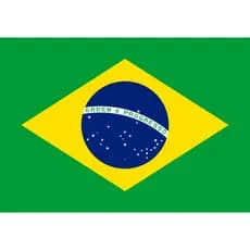 2x Adesivo Bandeira Brasil 16 x 11 cm Envio Imediato