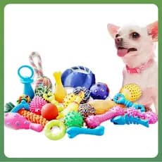 Kit Premium 10 Brinquedos Mordedor para Filhotes | Anti-Estress | Com Galinha, Bola e Vários Modelos em Borracha Durável