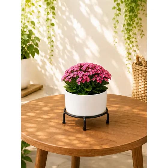 Suporte (P) para vasos de planta extra reforçados. (SUPORTA 60KG)