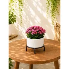 Suporte (P) para vasos de planta extra reforçados. (SUPORTA 60KG)