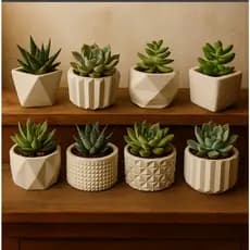 Kit 8 Vasinhos Decorativos de Gesso para Plantas Artificiais