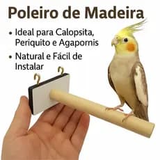 Poleiro de Madeira para Calopsita, Periquito e Agapornis  Ideal para Gaiolas e Viveiros aves passaro