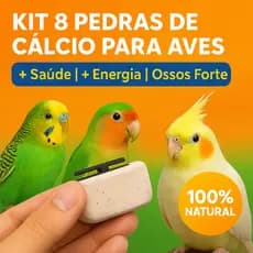 KIT PEDRAS DE CALCIO AVES para Cuidado dos Animais Domésticos Calopsita, Periquito, Papagaio