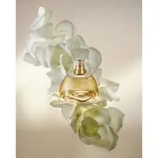 Perfume Feminino Aura Auba 100ml