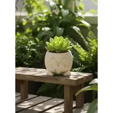 Vaso Decorativo Fofo para Cactus e Suculenta | Mini vaso Criativo Expressões