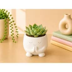 Vaso Decorativo Fofo para Cactus e Suculenta | Mini vaso Criativo Expressões