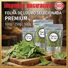 Folha de Louro Selecionada Pura e Aromática – 100g / 250g / 500g – Envio Hoje