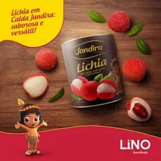 Lichia em Calda Premium Jandira 567g - Fruta em Conserva Pronta Para Consumo / Drinks e Sobremesas
