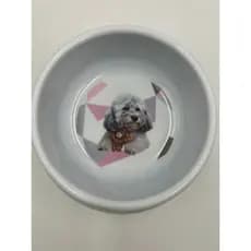 Comedouro/Bebedouro para Pet Cão ou Gato | Plástico - Estampa Divertida | Capacidade: 400 ml