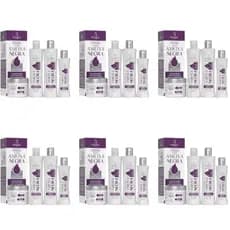 Kit Ameixa Negra Bio Instinto 6 Un - Atacado