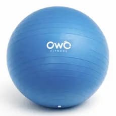 Bola De Pilates Suiça Com Bomba Yoga Academia Owo Fitness