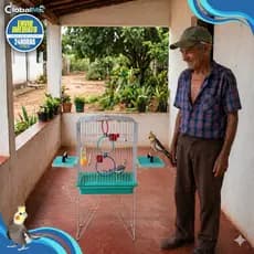 Viveiro Gaiola Calopsitas Agapornis Periquitos Aves Mansas Com Ou Sem Suporte Oferta Já Pronta Hoje!