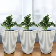 Kit 3 Vasos Coluna Romana N°2 Planta Flor Jardim Varanda Moderno Elegante Em Polietileno