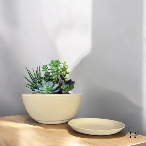 Vaso Decorativo Planta Flor Bacia Lisa Polida N°1 Cactos, Rosa Do Deserto e Suculentas Com Prato