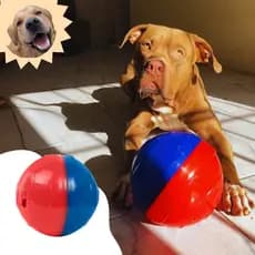 Brinquedo Comedouro Da Pet Games Pet Ball Para Cão Usar Com Ração E Petiscos Cachorro Intuitivo