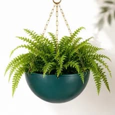 Vaso Para Plantas Pendente Suspenso Cuia Decorativa Com Corrente
