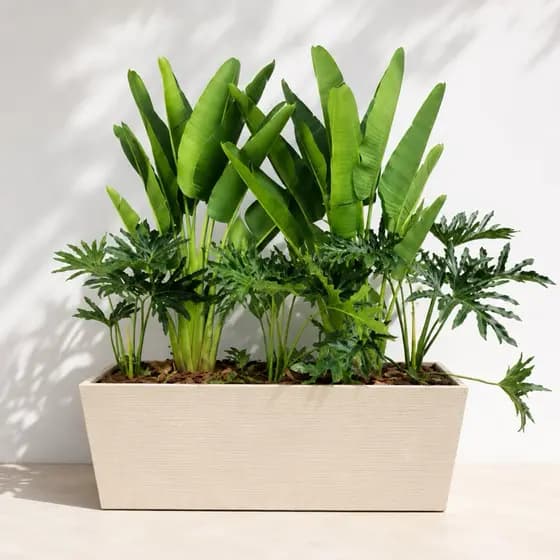 Jardineira Retangular para Plantas com Prato Coletor Vaso Grafiato 41cm Decorativo Jardim Varanda