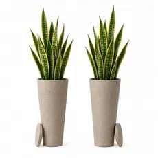 Kit 2 Vasos Ibiza 59cm Grafiato Decorativo Polietileno Resistente Com Prato Coletor