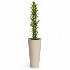 Vaso Alto Decorativo 59cm Luxo Moderno Para Plantas Sala Hall Varanda Com Prato