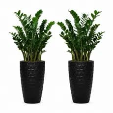 Vaso para plantas grande ,kit com 2 ,vaso polietileno forte alto e resistente,plantas jardim decorar 60×37×25