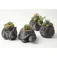 Vaso Decorativo Animais Suculenta Planta Personagem Bichinhos Decoração Mini Vaso Cachepot Animais