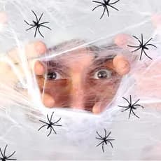 Teia De Aranha Branca Com Aranhas Decoração De Halloween Kit Com 1 a 5 Unidades