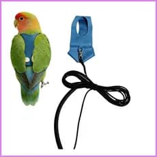 Arnês Para Papagaio , Coleira Treinamento De Calopsita , Kit De Corda Pássaros , Amantes De Animais , Caminhada , chwuie