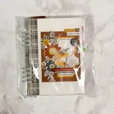Kit 500 Unidades Saco PP Transparente Com Aba Adesivado Saquinho Resistente Alta Qualidade Embalagem
