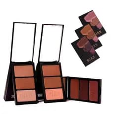 PALETA DE CONTORNO WISH CONTOUR  MICHELLY PALMA