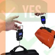 Balança Digital Portátil de Mão até 50kg com Gancho LCD Alta Precisão para Mala Bagagem Pesca e Viagem