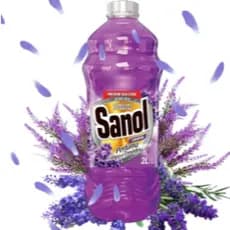 Desinfetante Bactericida Sanol 2L