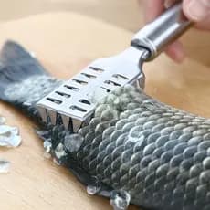 Ferramenta para Remover Escamas de Peixe, Especializada para Limpeza de Peixes, Escamador de Peixe Doméstico em Aço Inox