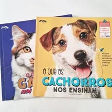 O Que os Gatos Cachorros Nos Ensinam  Edit MOL