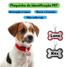 Plaquinha Identificação Coleira Cachorro Gravada a Laser