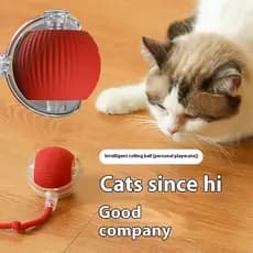 Rechargeable interactive toy - ball cat toy ball - automatic tail toy ball