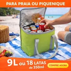 Bolsa termica, 9 Litros, com alca, reforçada, zíper, alumínio na parte interna, cores, marmita, alumínio,  conserva