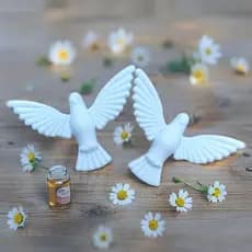Kit até 100 Apliques Mini Divino Espírito Santo para Batizado e Casamento