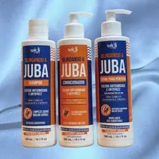 Kit Widi Care Blindando a Juba Shampoo + Condicionador + Creme Para Pentear 300ml