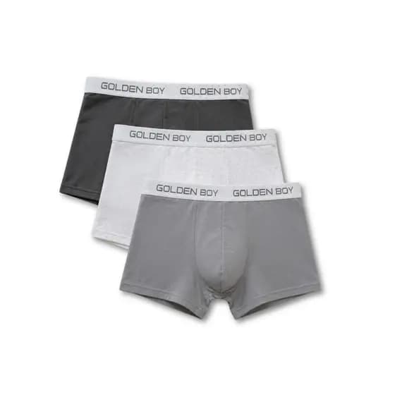 Kit 3 Cuecas Boxer Box Adulto Masculina Microfibra Forro 100% Algodão Lisa Estampas