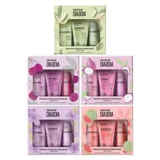 Kit Labotrat Dia A Dia Rosto e Corpo Esfoliante 150g + Hidratante 190ml + Body Splash 190ml