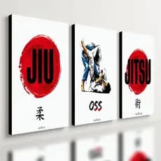 Kit 3 Quadro Decorativo Jiu-Jitsu Arte Marcial Moderno Japão