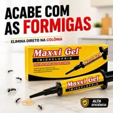 Gel Isca Formiga Maxxi Gel Inseticida P Formigas Doceiras Elimina Formigueiro Seringa Aplicadora
