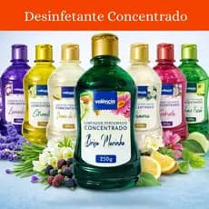 Base Desinfetante Concentrada 25L | Alta Performance + Perfume Premium Intenso