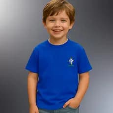 Camiseta Camisa blusa Infantil Com Bandeira do Brasil. 100% Algodão