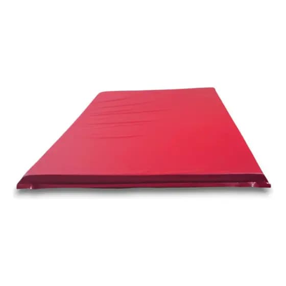 Colchonetes Para Academia Exercícios Yoga 10 Uni 100x60x3 Cor Vermelho
